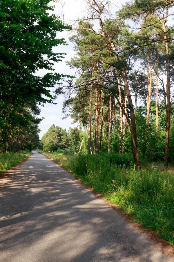 Agroturystyka U Koziolka Dlugowola ภายนอก รูปภาพ